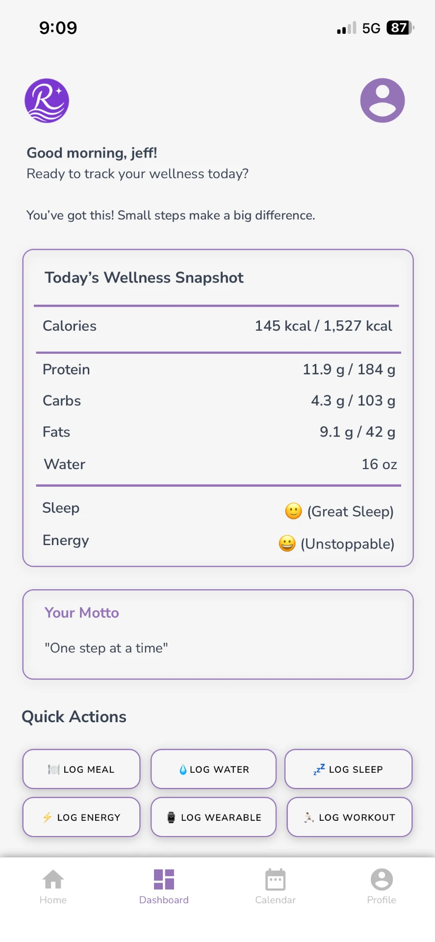 Realizer dashboard showing Today's Wellness Snapshot with calories, protein, carbs, fats, water, sleep, mood, energy, Your Motto, and Quick Actions.